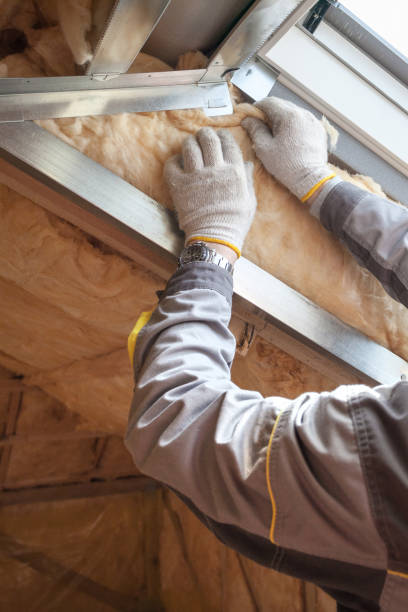 Best Best Insulation Companies  in Karns, TN